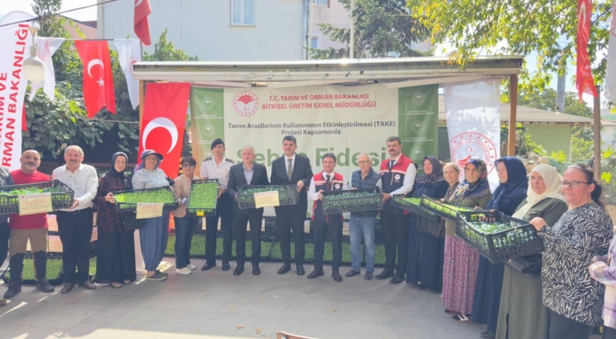 İstanbul'da 62 üreticiye 112 bin fide dağıtıldı