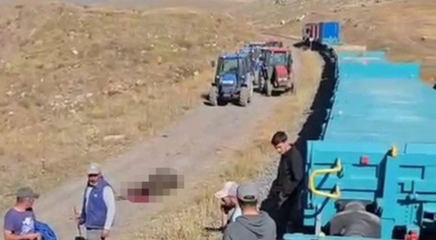 Yük treninin çarptığı 5 büyükbaş telef oldu