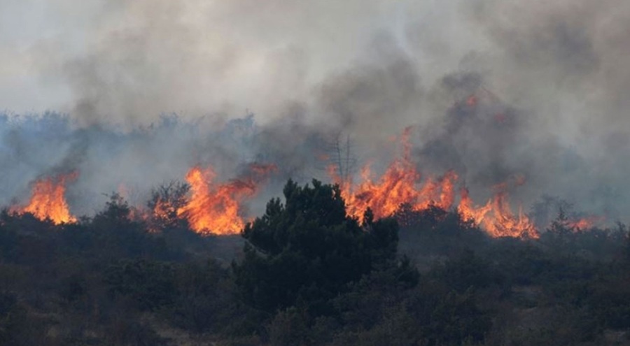 Suriye'deki yangınlarda 1 sivil savunma görevlisi yaşamını yitirdi