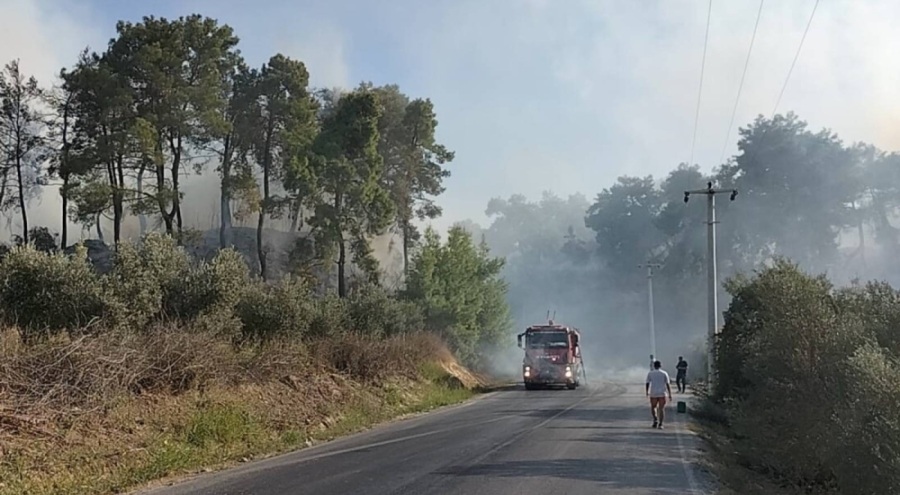 Antalya'nın tarım arazisinde başlayan yangın ormanlık alana sıçradı