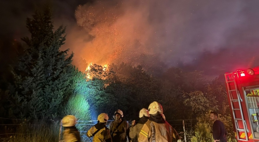 İstanbulda ormanlık alanda çıkan yangına müdahale ediliyor
