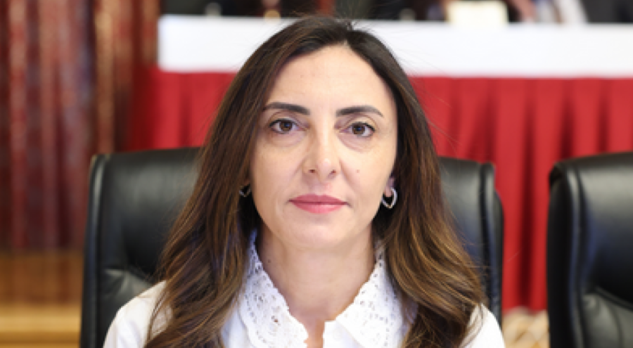 Bursa Milletvekili Kayışoğlu: "İnsan hakları ihlalleri artıyor, denetim mekanizmaları yok"