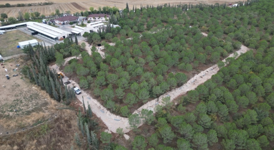 İnegöl Belediyesi'nden can dostlarına yeni yuva