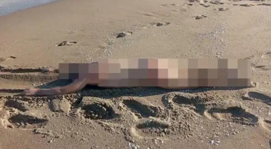 Sahilde çıplak erkek cesedi bulundu!