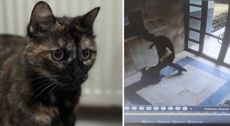 'Cezve'nin katiline en üst sınırdan ceza!