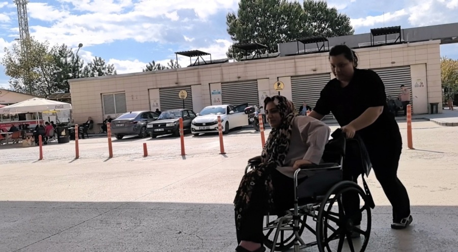 Bursa'da piknik yaparken yılan ısırdı, hastaneye kaldırıldı