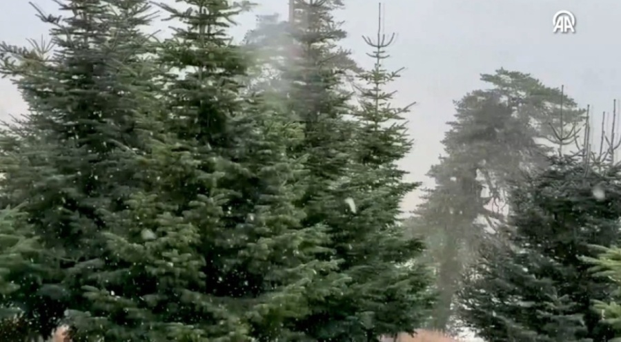 Bolu'ya lapa lapa kar yağdı