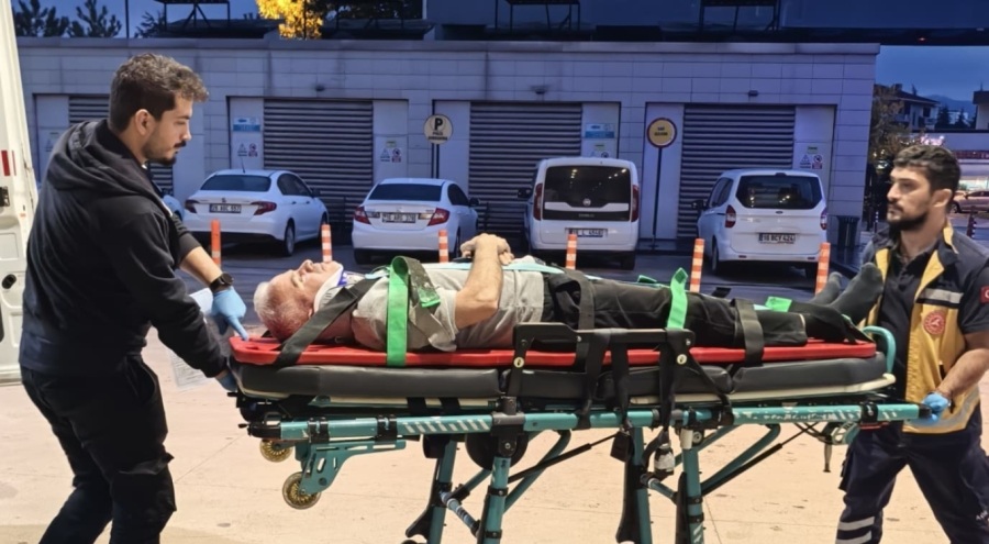 Bursa'da ceviz ağacından düşen adam ağır yaralandı