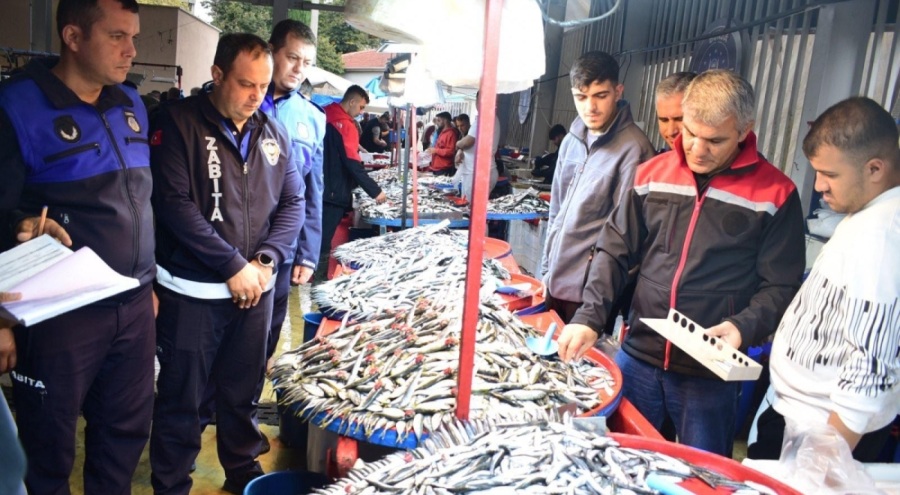 Bursa Yenişehir'de balık pazarına sıkı denetim