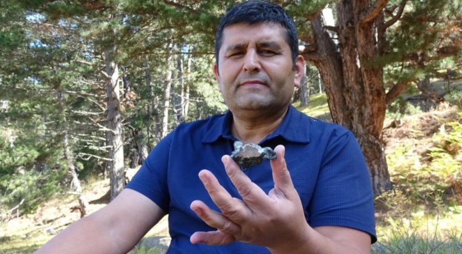 Mantar toplarken buldu; Gerçeği öğrenince havalara uçtu