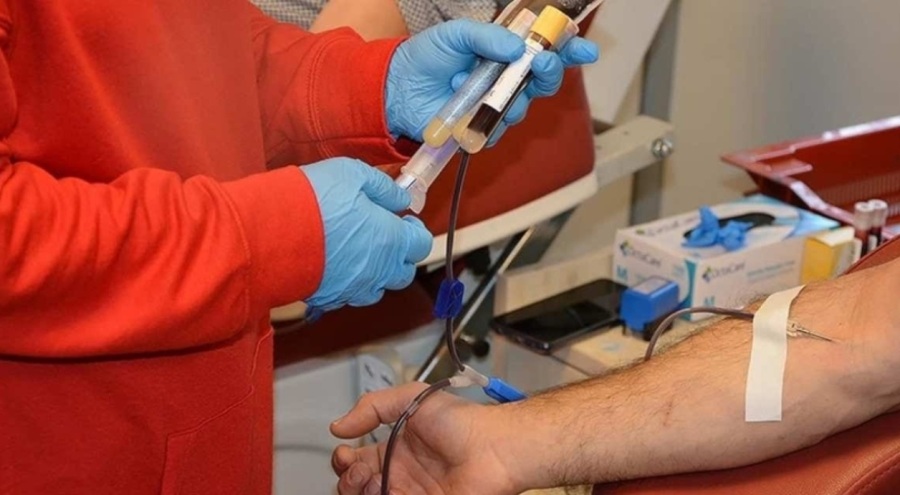 Alkollü çıkan sürücülere sahte kan raporu ile ehliyet verdiler: 5 kişi tutuklandı