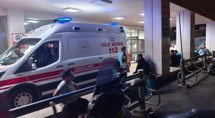 Hayvan otlatma tartışmasında silahlar çekildi!
