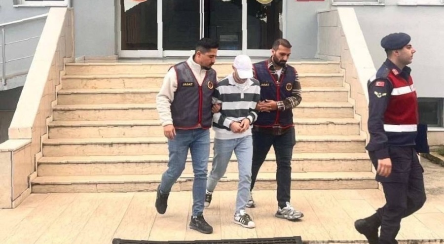 Ordu'da fındık çalan şüpheli tutuklandı