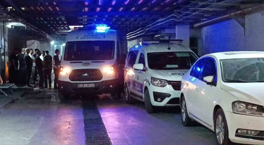 Yolun karşısına geçmeye çalışırken can verdi