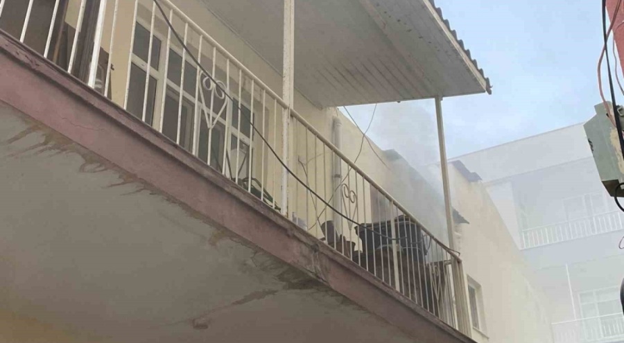 Antalya'da alevlerin arasında kalan muhabbet kuşunu itfaiye kurtardı