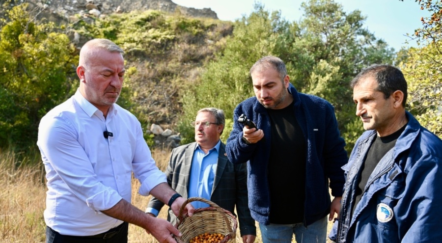 Karacabey Belediyesi, 'Alıç Meyvesi'ni dünya pazarında tanıtacak