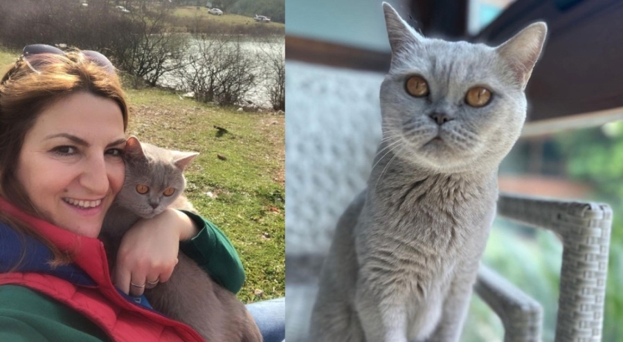 Alcaraz'ı yenen Sinner, 6 milyon dolarlık ödülün sahibi oldu