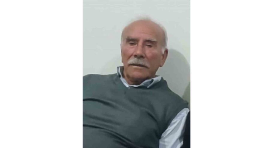 Şanlıurfa'da otomobilin çarptığı yaşlı adam yaşamını yitirdi