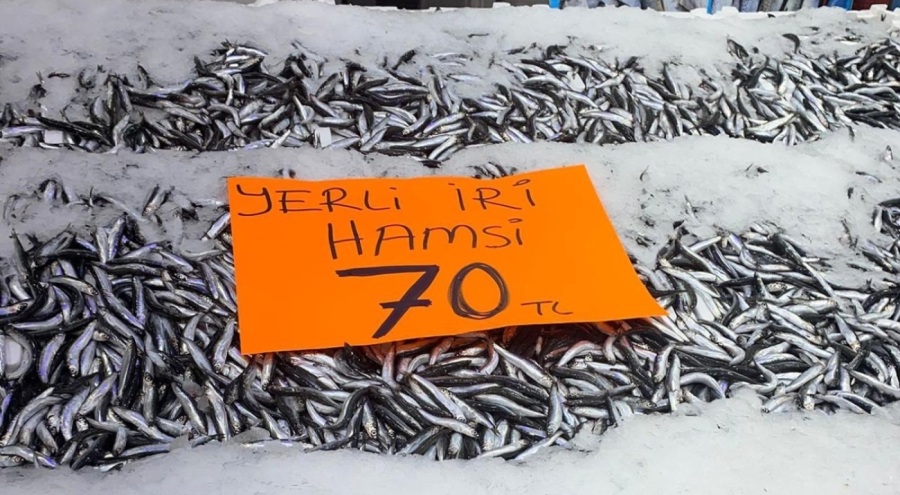 Hamsinin kilosu 70 liraya düştü