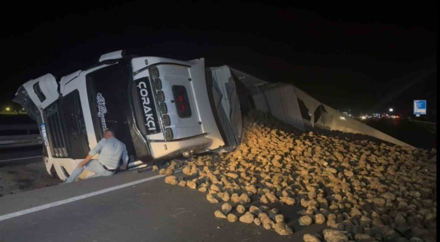 Köpeğe çarpmamak için manevra yapan tır refüje devrildi