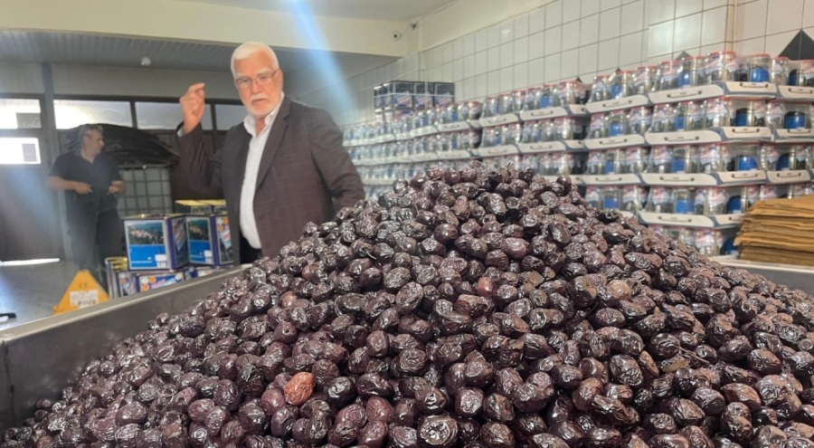 Bursa'nın Katırlı Dağları'ndan İsviçre sofralarına