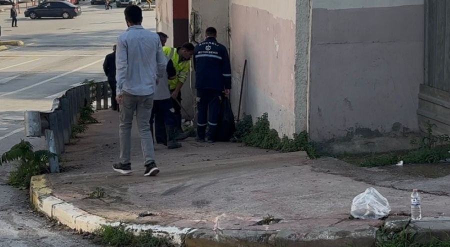 Freni boşalan otobüs duvara çarptı: 3'ü polis 7 yaralı