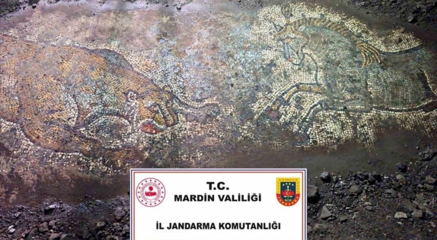 Mardin'de "Anadolu Mirası" operasyonu: 1500 yıllık mozaik ele geçirildi