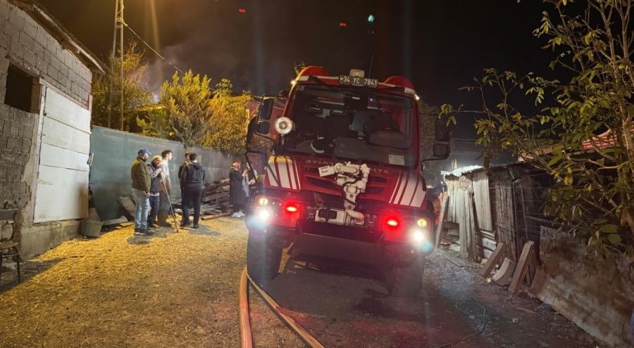 İstanbul'da samanlık yangını eve sıçradı, 4 hayvan telef oldu
