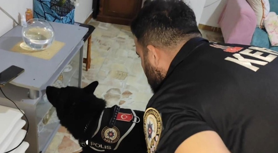 Uyuşturucu operasyonunda 351 şüpheli tutuklandı