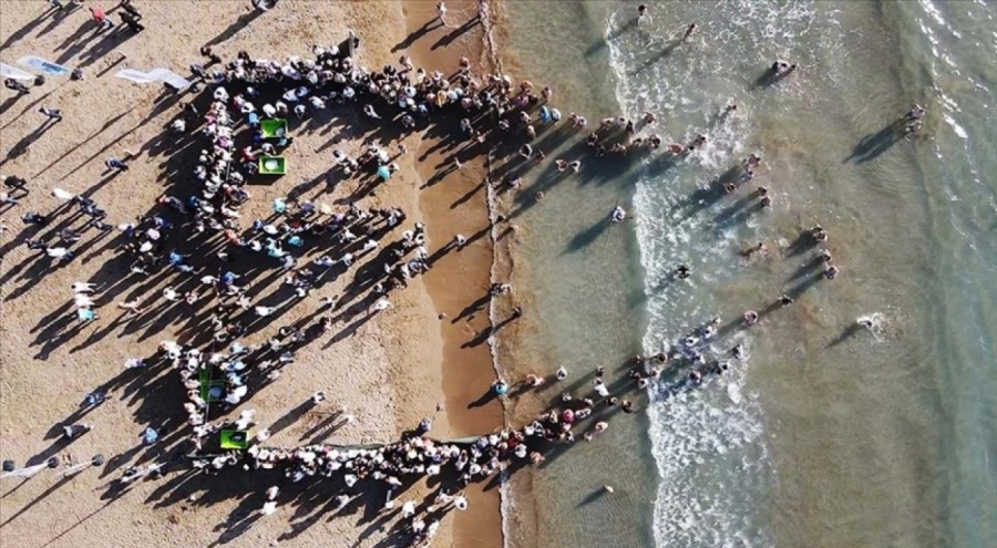 Muğla'da tedavileri biten deniz kaplumbağaları Cumhuriyet'in 102. yılı kapsamında denizle buluştu