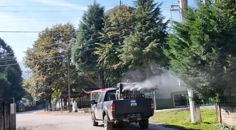 Kahverengi kokarca böceği ile mücadele sürüyor