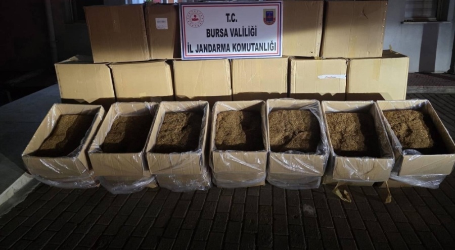 Bursa'da 750 kilo kaçak tütün ele geçirildi