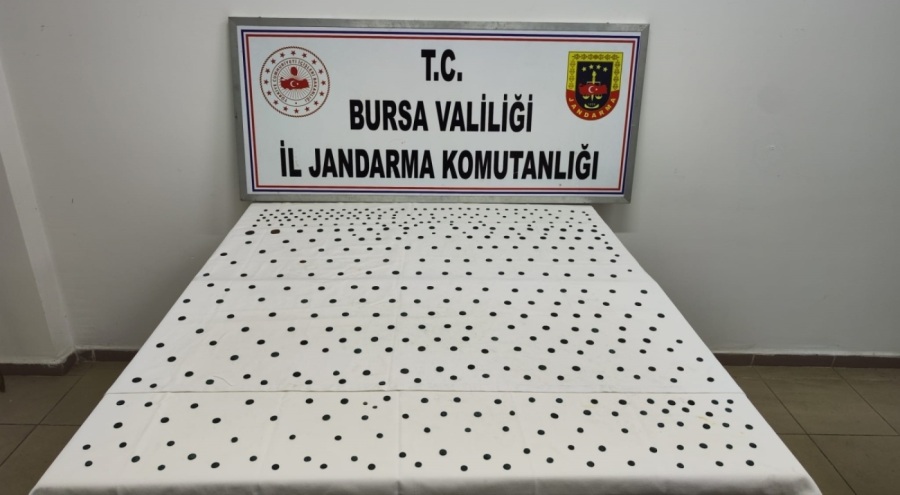 İznik'te tarihi eser operasyonu