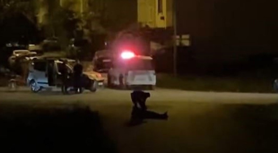 Sokak ortasında dehşet saçtılar! Polis güçlükle müdahale etti