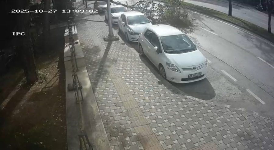 Bursa'da fırtınanın ağacı devirdiği anlar kamerada!