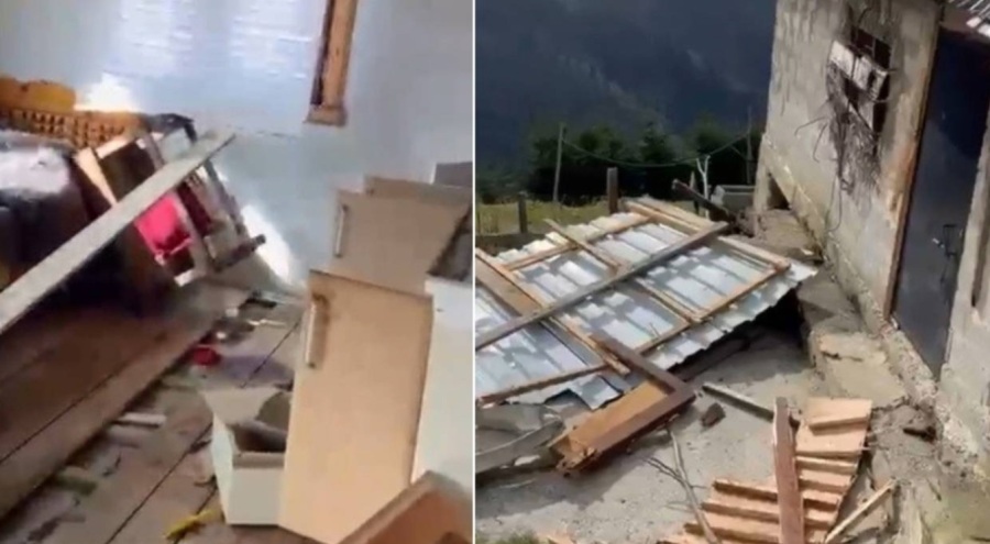 Ayı paniği: 20 ev talan edildi