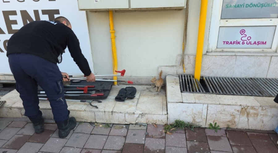 Bursa'da mahsur kalan kedi yavrusunu itfaiye kurtardı