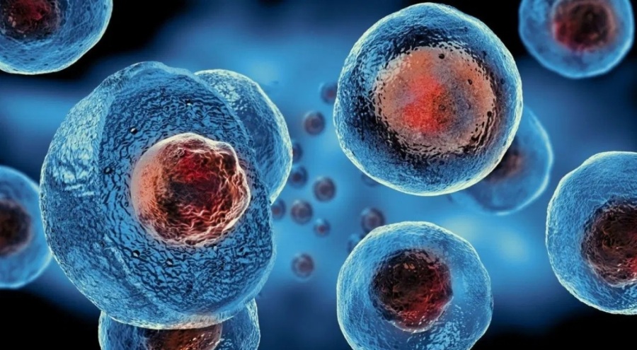 Bilim insanları, virüslerin vücutta nasıl yayıldığını keşfetti