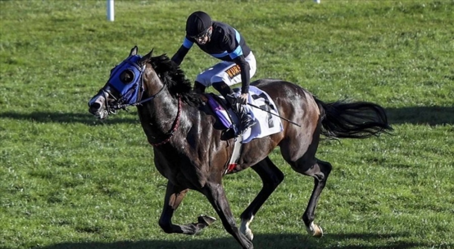 At yarışlarında Cumhuriyet ve Cumhurbaşkanlığı Koşuları Ankara'da yapılacak