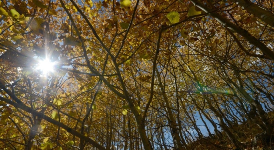 Meteoroloji raporu yayımlandı: Sıcaklıklar artıyor
