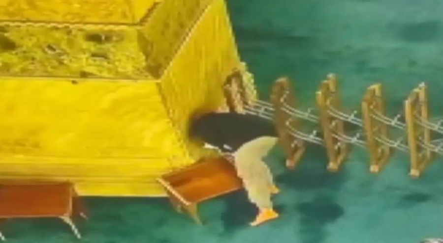 Ayasofya Camisi'ne kundaklama girişiminde bulunan şüpheliye 13 yıla kadar hapis talebi