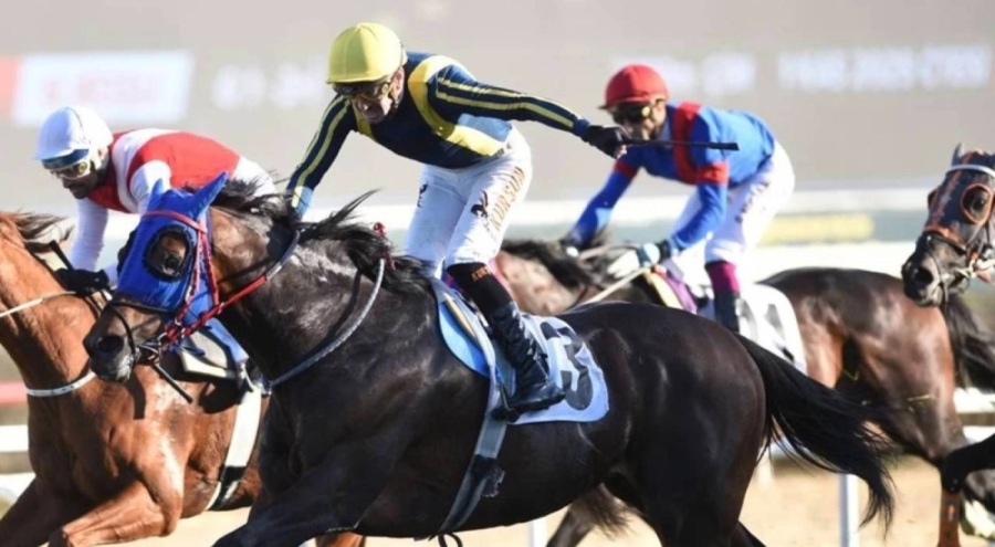 87. Cumhurbaşkanlığı Koşusu'nun Galibi Grande Flusso