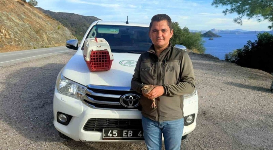 Yasadışı Kınalı Keklik satışına ceza