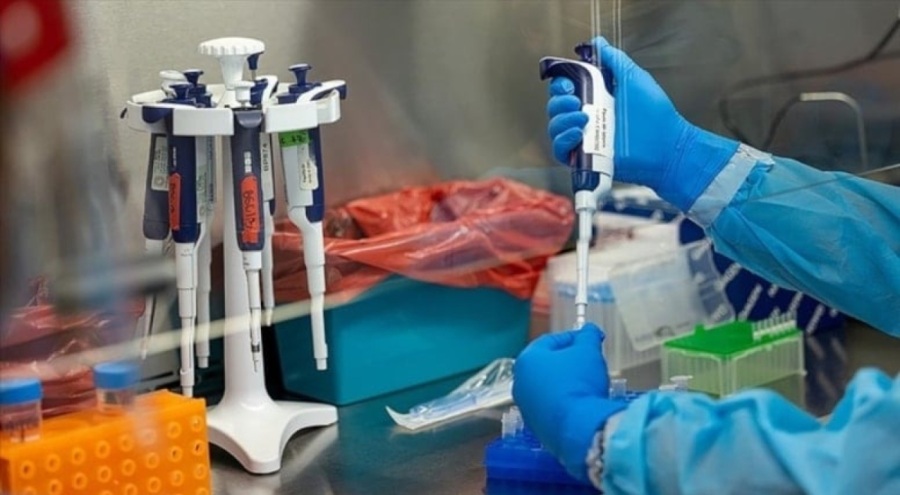 Ölümcül virüs 4 kıtaya yayıldı