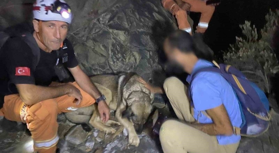 Ormalık alanda mahsur kalan vatandaş 4 saat sonra kurtarıldı