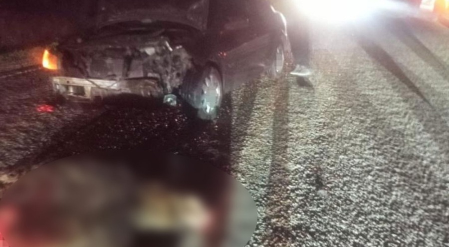 Bolu'da görünmez kaza: Domuza çarpan araç hurdaya döndü