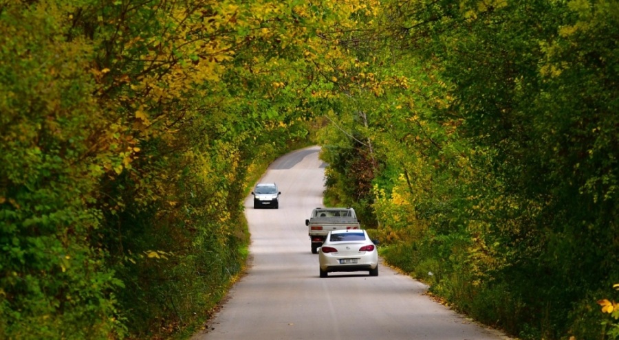 Sonbaharın renkleri Uludağ'ı sardı!