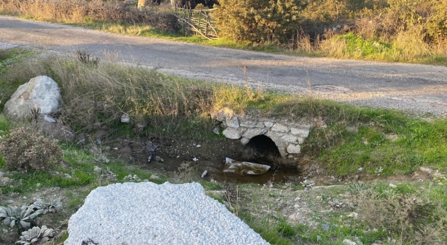 Boş arazide bebek cesedi bulundu
