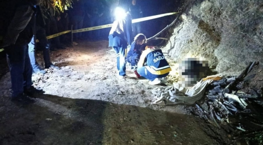 Aydın'da yol kenarında bir şahsın cansız bedeni bulundu