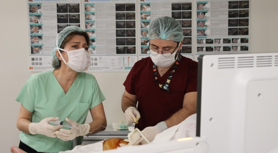 Bursa Şehir Hastanesi'ne uluslararası belge verildi